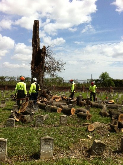 Image of men in hard hats and safety vests working on downed trees after Hurricane Isaac