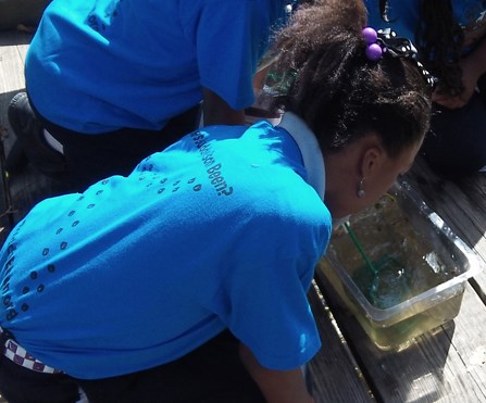 Image of girl learning over a plastic container filled with swamp water