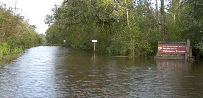 Image of flooded road with Barataria Preserve sign visible at right