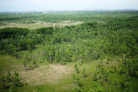 Louisiana swamp with New Orleans on the far horizon as seen from the air