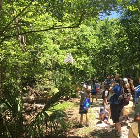 A group of researchers with nets walking in the swamp