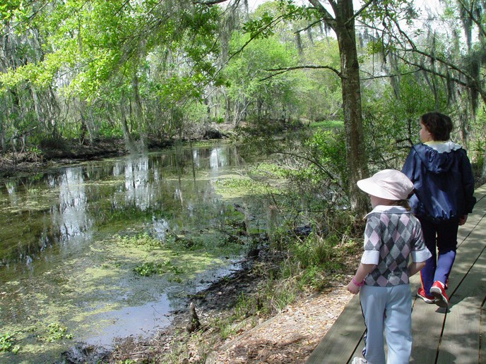 Image of two children walking along a bayou on a boardwalk trail