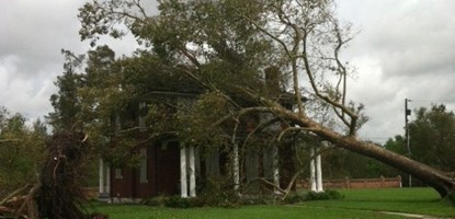 Image of a large uprooted tree leaning on a two-story building