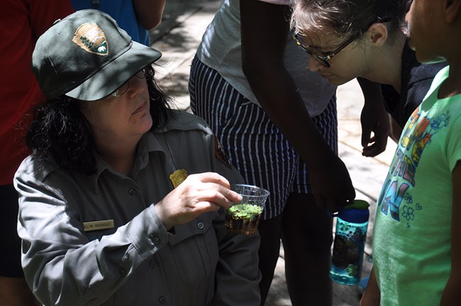Camp page pic 2019 from WACC 2018 A ranger and summer campers look at water from the bayou