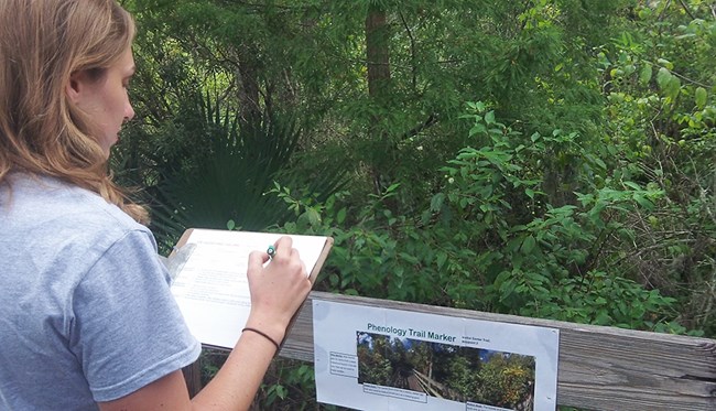 Young woman makes notes at a data collection station