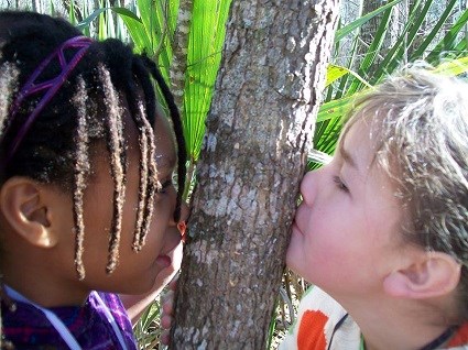 Two children press their faces to opposite sides of a tree trunk