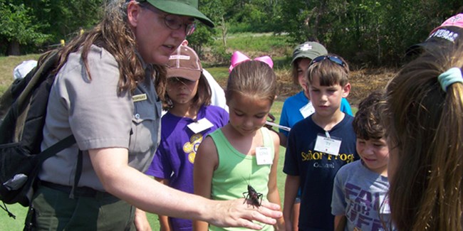 Ranger shows campers a lubber grasshopper Ranger shows campers a lubber grasshopper