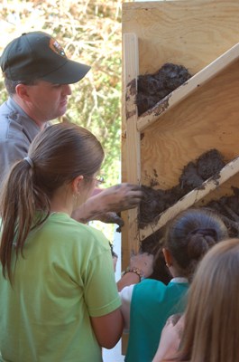 A ranger and students use bousillage, a traditional Louisiana building material made of mud and Spanish moss