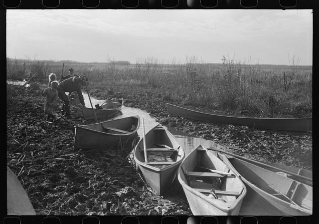 Canoes lined up the shore with vegetation behind it.