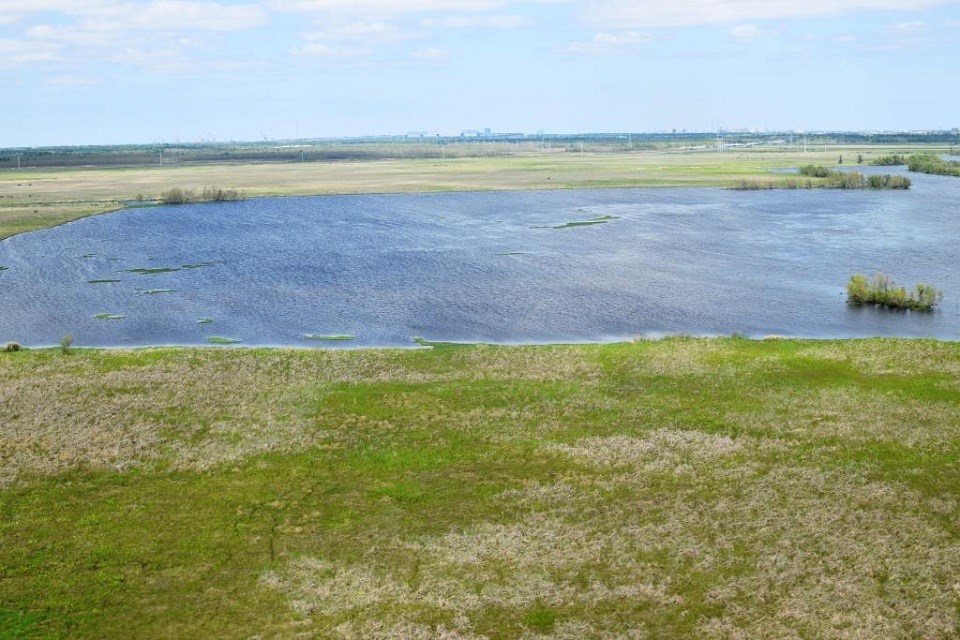 Aerial view of a large pond surrounded by marsh grasses