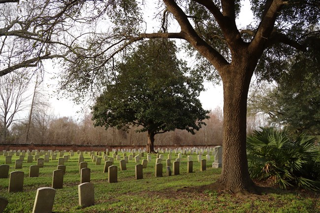 A section of graves near the front entrance to the national cemetery