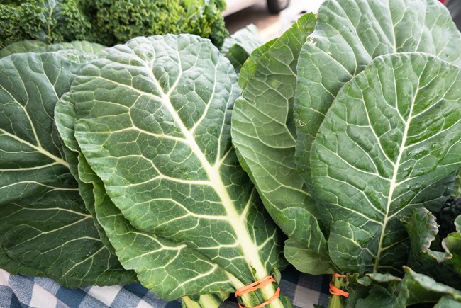 Collard Greens