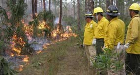 Rangers at Big Cypress Rangers at Big Cypress