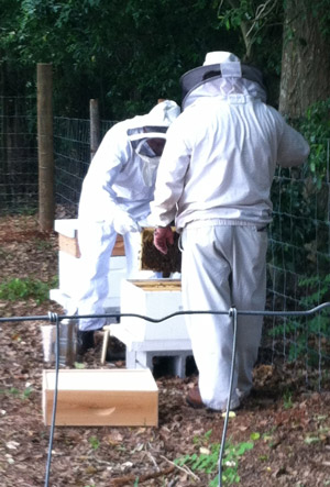 Bee keeping at the Jimmy Carter Boyhood Farm