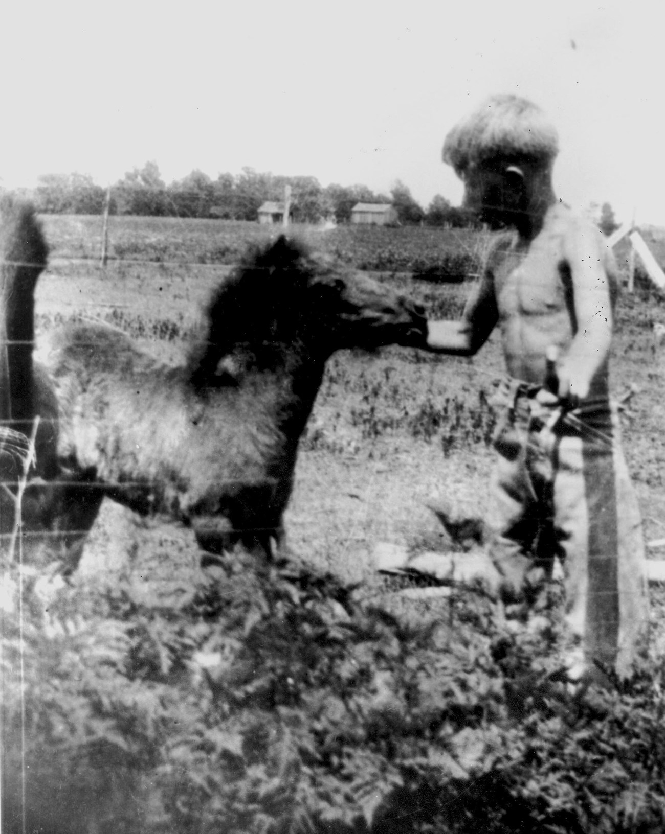 a young Jimmy Carter feeding his colt