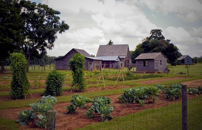 Vegetable garden and barns at Boyhood Farm.