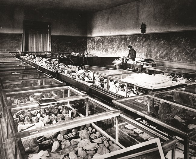 A man stands at a desk in the back of a room filled with glass cases of rocks.