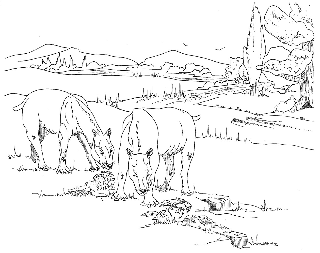 A black and white coloring page of two oreodonts (pig-like herbivores) browsing.