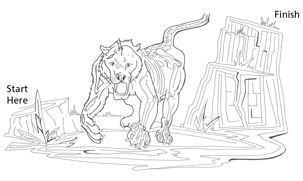 an illustration of a cat-like animal that is also a maze with "start here" on the bottom left side and "finish" on the top right side