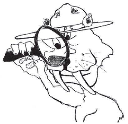 A black and white drawing of a cat-like animal's head and chest, wearing a ranger hat and looking through a hands len