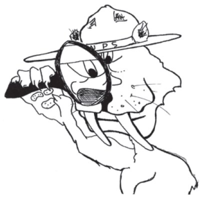 pongo with magnify glass A black and white drawing of a cat-like animal's head and chest, wearing a ranger hat and looking through a hands len