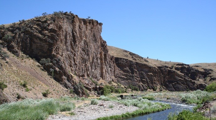 Goose Rock web