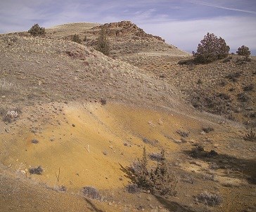 Hancock Mammal Quarry