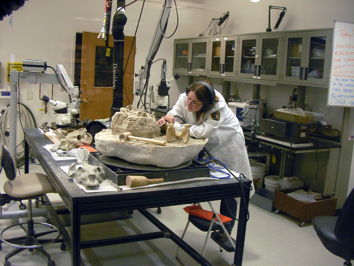 Jennifer Cavin in Laboratory