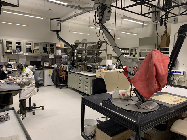Fossil preparation lab A large room with several desk spaces. At one desk a person in a lab coat sits at a microscope looking at something in their hands.