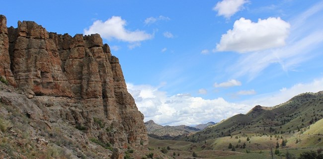 Palisade small