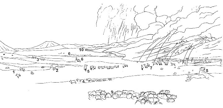 Rattlesnake mural outlines dominant fossils labeled number 1 through 10. Horses and camels are running towards the viewer away from the explosion and a cat eating an ungulate looks as if to snarl at it. A volcano is shown in the center of the background.