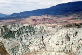 Image of the rocks of the turtle cove assemblage.