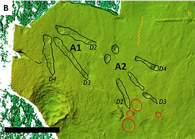Green stone with with black outlines of bird footprints, a squiggly yellow line, and red circles with the annotated arrows and text “footprints,” “worm trails,” and “beak marks”