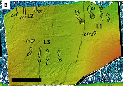 Green and orange stone with black outlines of law marks