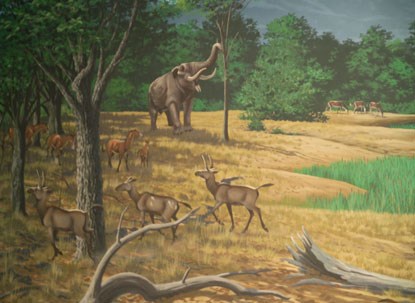 Image from the mural depicting the Mascall paleoecology.