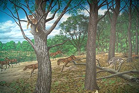 Image of a mural of the Turtle Cove.