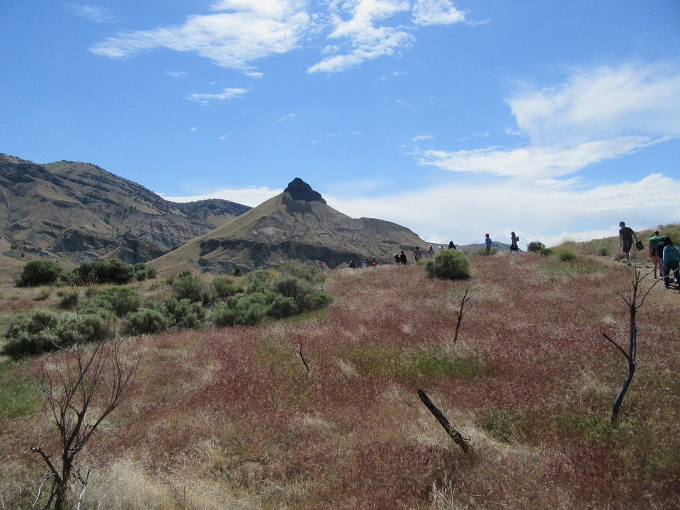 The peak of Sheep Rock is seen in the background with blue skies and hazy white clouds. Small figures are seen walking towards the mountain. The purple cheat grass is growing along the hillside interspersed with light green sagebrush.