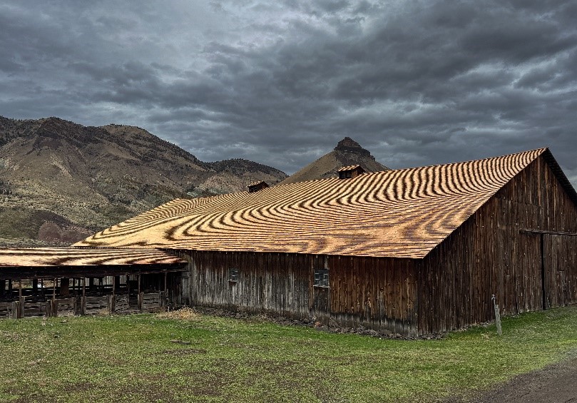 Northside view of the Cant barn and adjacent sheep pens following the roof restoration.