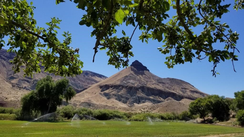 Green leaves frame the image of Sheep Rock- a mountain with a pointed, pyramid-shaped cap rock of brown basalt.