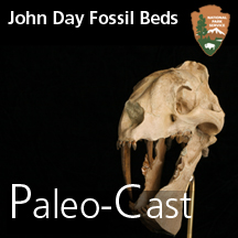 Paleocast Paleocast