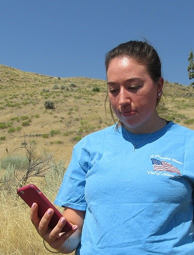 A young woman with dark hair and a blue t-shirt looks at her cell phone while standing in front of hill with tan grasses and blue skies. A young woman with dark hair and a blue t-shirt looks at her cell phone while standing in front of hill with tan grasses and blue skies.