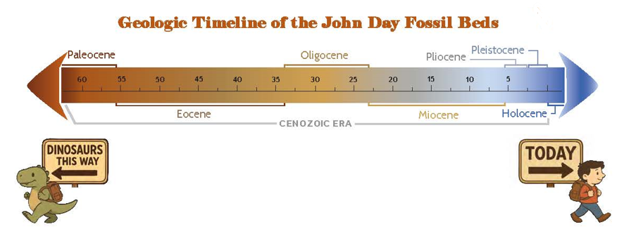 geologic time chart activity that shows the time era on the left side and the actual time in years