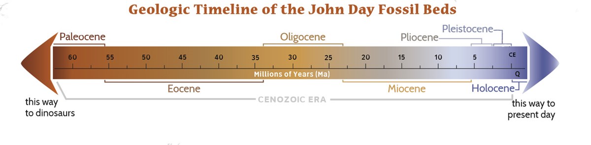 geologic time chart activity that shows the time era on the left side and the actual time in years