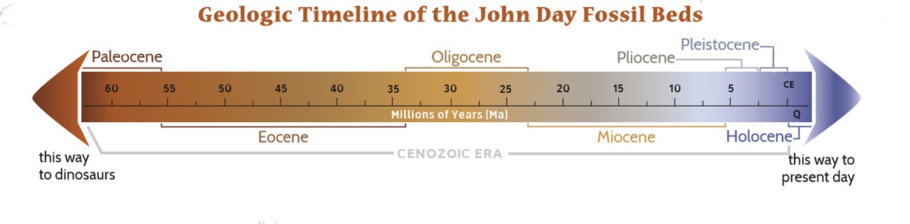 geologic time chart activity geologic time chart activity that shows the time era on the left side and the actual time in years