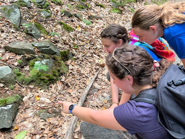 Three people pointing to natural material at the Blue Hills