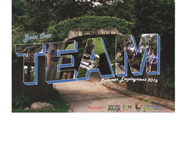 join our team