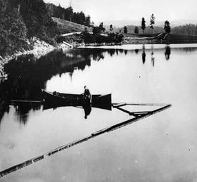 Fish screen Fish screen