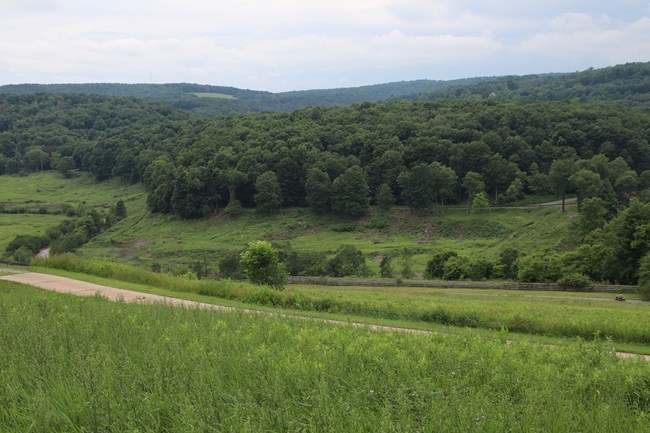 Landscape