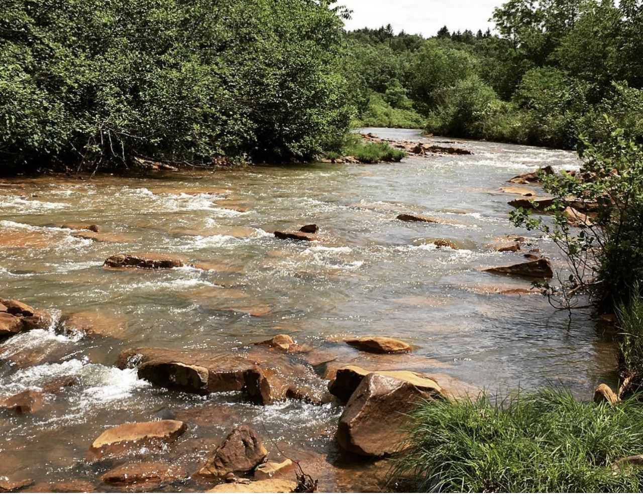 The South Fork of the Little Conemaugh River