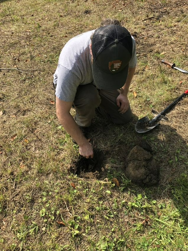 A male ranger using archaeology tools.